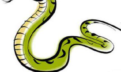 属蛇男人的情感态度及处理方式——一个深入探讨