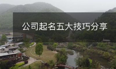 分享五大起名公司的技巧，帮助你创造一个有创意和独特的品牌名称