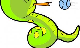 选择哪些植物种植能够让属蛇人提高财运水平？