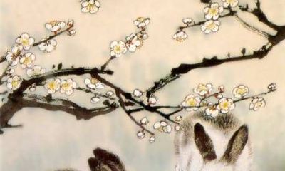 探寻属兔人的吉利颜色：如何借助颜色提升财运、招财纳福并改善事业呢？