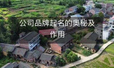 企业品牌名称的解密：探究其内涵和对企业的影响