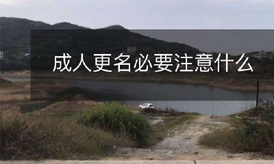 在成年人更名的过程中，需要了解哪些必要注意事项？