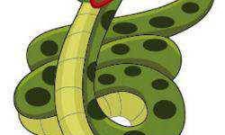 为什么生肖属蛇的人不能戴项链？水晶配饰是否更适合他们？