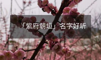 「探秘紫府朝垣：一座富含历史和文化底蕴的古城」