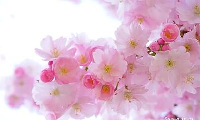 八字相同的男女命：探究命运特征与个人差异