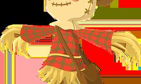 哪些物品摆放在床底最能招财？收纳秘籍揭秘！