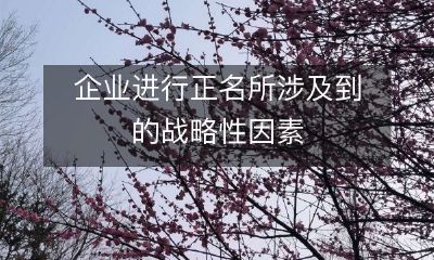 企业实施正名策略时需考虑的重要战略因素及其影响因素分析
