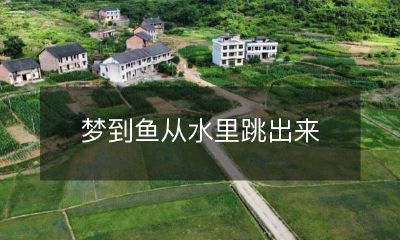 在梦中见到鱼儿从水中欢腾跳跃，仿佛是一幅迷人的图画呈现在眼前