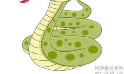 深度解析梦中蛇的象征意义及可能的心理暗示