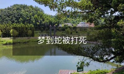 在梦中见到一只蛇被残忍地击杀，引起各种情感和思考的想象