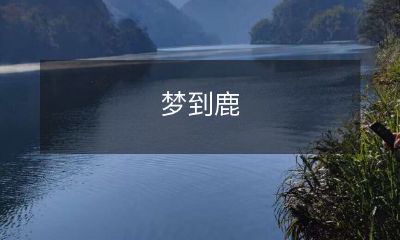 在迷幻的夜晚梦见缓步而过的鹿群，仿若穿越神秘时空的奇幻之旅！