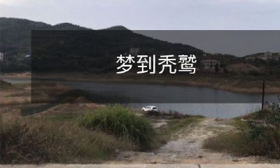 梦见飞翔在空中的秃鹫，让我想起了生命与自由的脆弱，感受到命运的难测与人生轨迹的不确定