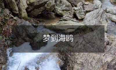 在清晨的海边——迷人的梦景中，我梦见了海鸥，它们翱翔在蓝色的空中，轻轻掠过波涛汹涌的海面，那样美妙的一幕，不断地在我的脑海中徘徊着