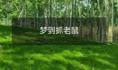 我梦到在我的房间抓住了一只老鼠，这种梦象可能代表着关于自我运营、无害性问题或需要处理的基本细节方面的情感困惑