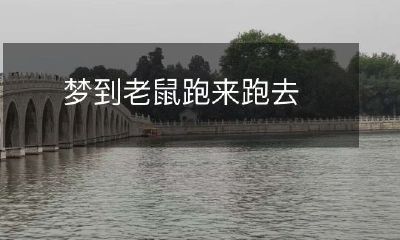 睡梦中遭遇老鼠尽情活动的经历