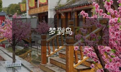 在深夜的梦境中，我遇见了迷人的飞行生物——梦中的鸟类，它们如何在璀璨星空中翱翔，那种令人心醉神迷的感觉令我终身难忘！