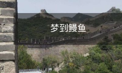 在梦中看到了闪烁着银光的鳗鱼，让人心生遐想和神往