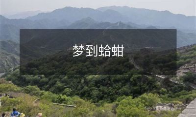 睡梦中沉醉，意识穿梭至海岸，穿越丝丝细雨，在沙滩上发现彩色蛤蚶，亲手将它们收入怀中：探寻想象之路中的海鲜之旅