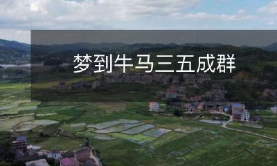 入梦奔腾，牛马成群，数珍稀，若幻化为现，惊叹于梦境中宏伟的景象