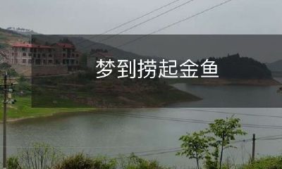 在梦中经历了捞起一条闪闪发光的金鱼的神奇之旅