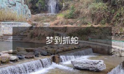 在梦中经历了探索自我和勇敢面对恐惧的过程——我梦到了自己在抓蛇！