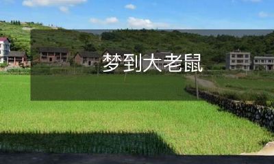 在梦中遇到了一只巨大老鼠的惊险体验！