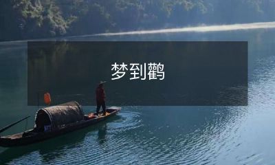 在睡梦中遇到了优美飞舞的大鹳，感受到身心灵的统一与天地交汇