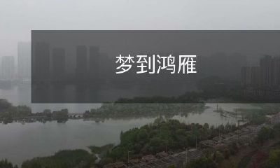 飞过天际：一场惊心动魄的梦境中的鸿雁之旅