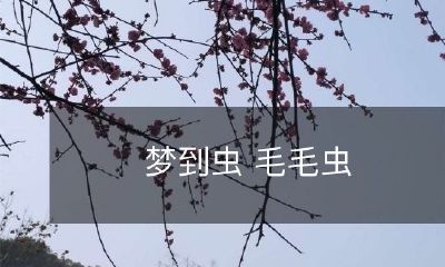 梦中遇到毛毛虫，意味着什么？虫类象征与心理启示的解析