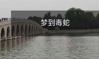 在梦中经历毒蛇的惊险体验：一个令人毛骨悚然的梦境描写