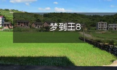 深夜梦境中的王8：一个神秘而引人入胜的个人故事