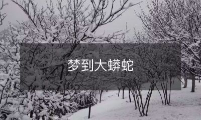 在梦中经历与庞大巨蟒的邂逅：我梦见了一只巨大的蟒蛇！