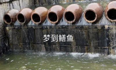 在梦中遇见了优美滑背的鳝鱼：梦境探究与心理解释