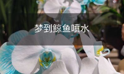 夜晚做梦之魔幻景象：身临其境梦见鲸鱼在汹涌的大海中自由翱翔，瞬间喷涌出壮观的水柱！