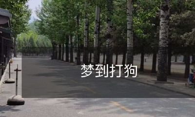 一场梦中的狂犬扑来，恐怖又真实：我与几只忠诚的小狗展开惊险大战！