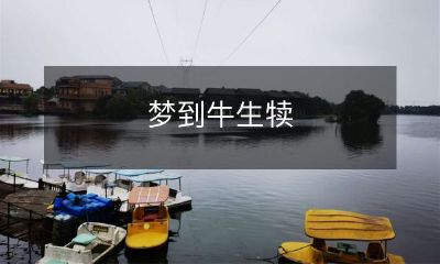 做梦遇见生产牛犊情景：描写梦中的奇妙体验和心理启示