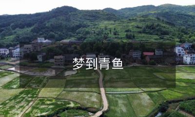 入睡后突然醒来，回忆起一段有关水中青鱼的梦境