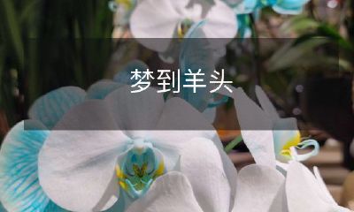 在梦中看到羊头：寓意、象征及各种可能的解释