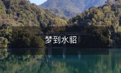 的意义是什么？追溯水貂文化背景，揭示梦境中的隐喻和象征，深入探究潜意识的含义与启示！