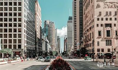 探究属狗者致富之道：住在哪一层楼才是最佳选择？