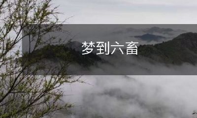 在梦中遇见六畜，包括牛、羊、猪、鸡、鸭和驴，可能暗示了什么？