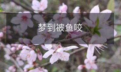 入梦被鱼咬口感真实！亲身体验水中生物欲望的惊险之旅！