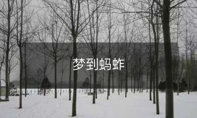 在如实生动的梦境中，我发现自己身处一个充满蚂蚱的世界，纷繁复杂的情节和惊险刺激的体验让我久久不能忘怀