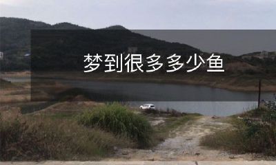 在梦中眼前闪烁的无数鱼儿：是预示着什么神秘的玄机？