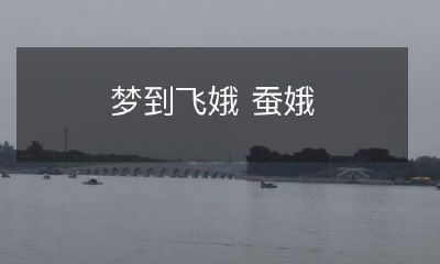 在梦中与仙女相会：飞娥与蚕娥的神奇旅程