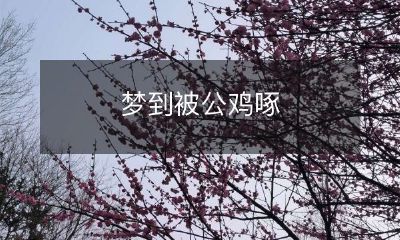 梦见被公鸡啄食，这是什么意思？