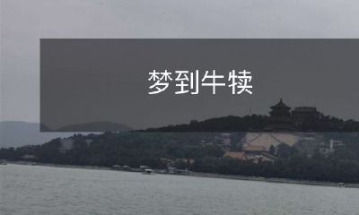 在清晨醒来，回忆起梦到可爱的牛犊：探索潜意识中的象征和影响
