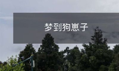 在我的梦中，我看到了一窝可爱的小狗崽子，它们如此天真可爱，令我感到快乐和幸福