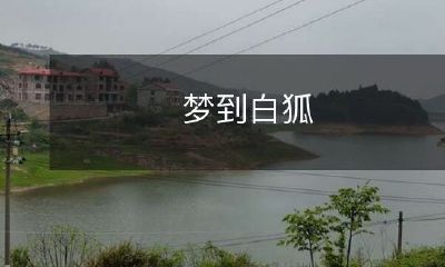 在梦中遇见神秘白狐：探索超凡灵性世界的奇幻体验