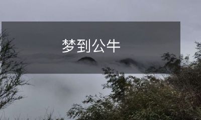 在梦里出现公牛的一夜：迷茫的象征和强烈的情感的体现